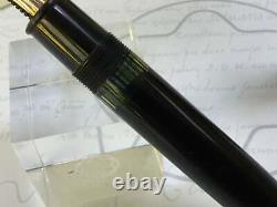 Montblanc Meisterstuck Vintage 1950's celluloid 149 fountain pen